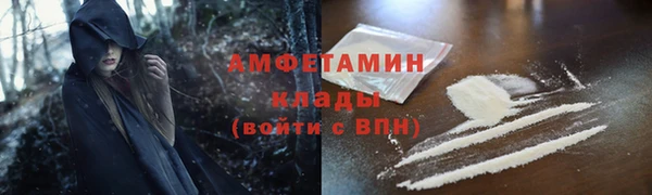 индика Михайловск