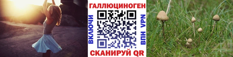 MEGA зеркало  закладки  Нарьян-Мар  Псилоцибиновые грибы MAGIC MUSHROOMS 