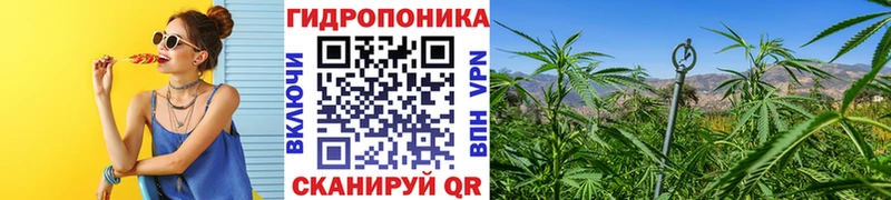 Конопля White Widow Нарьян-Мар